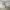 https://res.cloudinary.com/billionhands/image/upload/v1771924014/items/ykj2hwfkqefidpdbxjad.jpg-2cover