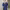 https://res.cloudinary.com/billionhands/image/upload/v1771924027/items/ow9hq6mrftadllravs9v.jpg-0cover