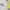 https://res.cloudinary.com/billionhands/image/upload/v1771924075/items/m73npngt9kwyv07oox7t.jpg-3cover