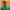 https://res.cloudinary.com/billionhands/image/upload/v1771924152/items/j9tlzrulzsz4olxmtfvm.jpg-2cover