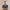 https://res.cloudinary.com/billionhands/image/upload/v1771924155/items/flieads0a5ioutokoaiu.jpg-3cover