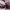 https://res.cloudinary.com/billionhands/image/upload/v1771924191/items/dglbtr5qaivumosjaqww.jpg-2cover
