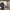 https://res.cloudinary.com/billionhands/image/upload/v1771924192/items/hxvfsgvmy16brq2fp1s7.webp-1cover