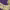 https://res.cloudinary.com/billionhands/image/upload/v1771924194/items/dxhlpqurasijsre4g6j3.webp-1cover