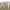 https://res.cloudinary.com/billionhands/image/upload/v1771924327/items/xvk4tiylgx5bbanu0vut.jpg-2cover