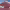 https://res.cloudinary.com/billionhands/image/upload/v1771924411/items/iju7m30omwzzk9prky2a.jpg-3cover