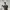 https://res.cloudinary.com/billionhands/image/upload/v1771924449/items/mxzvxy1v7h4rpkmfiq68.jpg-1cover