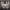 https://res.cloudinary.com/billionhands/image/upload/v1771924552/items/cqwjkrhwd7jsspkgpgqz.jpg-3cover