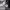 https://res.cloudinary.com/billionhands/image/upload/v1771924559/items/igeg5vxlchzrpzpxvqfm.jpg-2cover