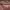 https://res.cloudinary.com/billionhands/image/upload/v1771924575/items/gmbtzh24i10k2flk34wg.png-2cover