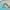 https://res.cloudinary.com/billionhands/image/upload/v1771924718/items/yxgdheppaa7sgaucckeo.jpg-2cover