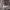 https://res.cloudinary.com/billionhands/image/upload/v1771925086/items/je6sejtig6xahdzzvm7w.png-2cover
