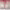 https://res.cloudinary.com/billionhands/image/upload/v1771925089/items/qce7eoeovshg1dknoen3.jpg-3cover