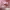 https://res.cloudinary.com/billionhands/image/upload/v1771925273/items/eec9fpfxgjpedt7aofd7.webp-1cover