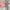 https://res.cloudinary.com/billionhands/image/upload/v1771925898/items/ajugukkymgj06hdadn7e.png-1cover