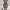 https://res.cloudinary.com/billionhands/image/upload/v1771926816/items/bu5knw1w3mpstflwmcgd.jpg-3cover
