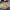 https://res.cloudinary.com/billionhands/image/upload/v1771926881/items/isjcjkirtvogw0hagypo.jpg-0cover