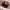 https://res.cloudinary.com/billionhands/image/upload/v1771926897/items/oayiyhbz4n3k0pdrnjgl.avif-1cover