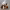 https://res.cloudinary.com/billionhands/image/upload/v1771926906/items/tdmaefajhkno62hm7nou.png-2cover