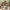 https://res.cloudinary.com/billionhands/image/upload/v1771926915/items/klvflayph9wlvkqoip80.jpg-2cover