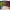 https://res.cloudinary.com/billionhands/image/upload/v1771926917/items/ccfh6ykddtlsl0ohugqa.png-2cover