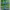 LEGO Art Bridge over a Pond of Water Lilies (31220) cover