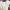 https://res.cloudinary.com/billionhands/image/upload/v1771926994/items/fjorhwewxxqdgjpjkmjb.webp-2cover