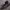 https://res.cloudinary.com/billionhands/image/upload/v1771926994/items/pkihvopsgilzgblpmnlh.avif-2cover