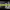 https://res.cloudinary.com/billionhands/image/upload/v1771926995/items/lal5syjefnrnfgk7jnqj.jpg-0cover