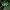 https://res.cloudinary.com/billionhands/image/upload/v1771926998/items/aj8hzbk3gx1haeo8qdua.jpg-3cover