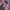 https://res.cloudinary.com/billionhands/image/upload/v1771927024/items/i2ugkmpyuuh84j6m6pec.avif-2cover