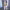 https://res.cloudinary.com/billionhands/image/upload/v1771933625/items/hmlkff8s4svakrpsthce.webp-1cover