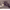 https://res.cloudinary.com/billionhands/image/upload/v1771935001/items/lak9ixuoz1hbsf89mf8v.jpg-3cover