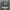 https://res.cloudinary.com/billionhands/image/upload/v1771935766/items/vjvkxxjb1kgg0uurt2oh.jpg-3cover