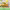 https://res.cloudinary.com/billionhands/image/upload/v1771937036/items/l9q4sf7cae0ffwcayjqi.jpg-3cover