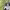 https://res.cloudinary.com/billionhands/image/upload/v1771946892/items/ybd1bkjmwihni7zceqbu.jpg-1cover