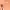 https://res.cloudinary.com/billionhands/image/upload/v1771948583/items/nxdmzvhgrv0n5bx8hqyx.jpg-2cover