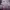 https://res.cloudinary.com/billionhands/image/upload/v1772004437/items/ossq8fkodkor35s4mxmt.jpg-0cover