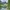 https://res.cloudinary.com/billionhands/image/upload/v1772009134/items/puzhd9ammvug35l64mjf.jpg-1cover