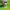 https://res.cloudinary.com/billionhands/image/upload/v1772009244/items/nofua6cstiw67emj0fdp.jpg-1cover