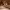 https://res.cloudinary.com/billionhands/image/upload/v1772009264/items/chcwzohh29wtman8u6qg.jpg-0cover