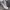 https://res.cloudinary.com/billionhands/image/upload/v1772016828/items/vecuk4lhcyk75rcn6uoi.webp-1cover