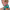 https://res.cloudinary.com/billionhands/image/upload/v1772019347/items/elexx7mv4t5e5xbpnrrx.png-1cover