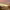 https://res.cloudinary.com/billionhands/image/upload/v1772029237/items/fzsrrpdmxbxic7akw6tn.jpg-2cover