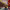 https://res.cloudinary.com/billionhands/image/upload/v1772029322/items/m5rkvnrtdgeq6lpveekn.jpg-2cover