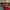 https://res.cloudinary.com/billionhands/image/upload/v1772029329/items/ejbqmtnpe0wqnnitst1v.webp-3cover