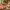 Best food delivery services in Huelva ranking cover