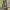 https://res.cloudinary.com/billionhands/image/upload/v1772033225/items/m6vfluplbjymemmm7yk9.jpg-3cover