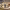 https://res.cloudinary.com/billionhands/image/upload/v1772033239/items/px024apbbtstprlzkdhg.webp-2cover
