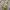 https://res.cloudinary.com/billionhands/image/upload/v1772033241/items/pzwxxz85kwpjpgo9yma5.jpg-1cover